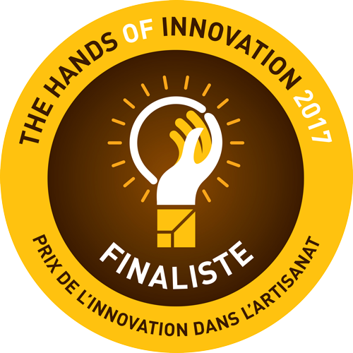 Emil-Antony - Spirit of Fire - Hands of Innovation